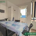 Rent 2 bedroom apartment of 40 m² in Bisceglie