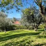 Rent 5 bedroom apartment of 190 m² in Florence