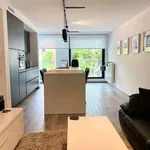 Rent 1 bedroom apartment in Sint-Andries