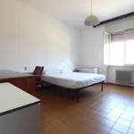 Rent 4 bedroom apartment of 80 m² in Pescara