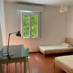 Rent 3 bedroom apartment of 80 m² in Bologna