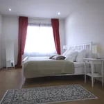 Rent 3 bedroom apartment of 86 m² in Prague