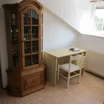 Rent 3 bedroom house in Karlovy Vary