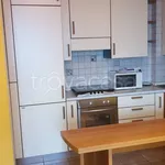 Rent 2 bedroom apartment of 70 m² in Cologno Monzese