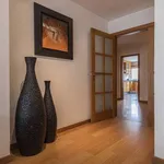 Rent 2 bedroom apartment in lisbon