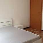 Rent a room of 120 m² in bologna