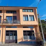 Rent 1 bedroom apartment of 50 m² in Viverone