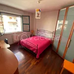 Rent 3 bedroom apartment of 100 m² in Perugia