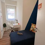 Rent a room in trento