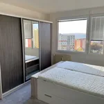 Pronajměte si 3 ložnic/e byt o rozloze 71 m² v Prague