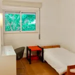 Rent 4 bedroom apartment in Lisbon