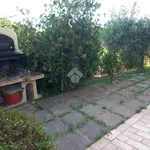 Rent 4 bedroom apartment of 100 m² in Montespertoli