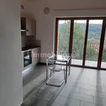 Rent 1 bedroom apartment of 42 m² in Maslianico