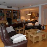 Rent 1 bedroom apartment in Antwerpen