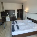 Rent 1 bedroom apartment of 27 m² in Brno