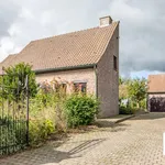 Huur 4 slaapkamer huis in Berlare