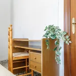 Alquilar 3 dormitorio apartamento en Valencia