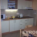 Rent 1 bedroom apartment of 20 m² in Hradec Králové