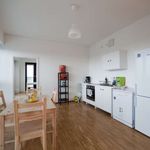 Rent a room of 146 m² in munich