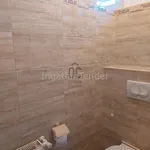 Rent 5 bedroom house of 1000 m² in Budapest