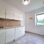 Pronajměte si 1 ložnic/e byt o rozloze 44 m² v Nová Ves u Plzně