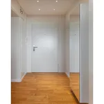 Rent 3 bedroom apartment of 50 m² in Bonn