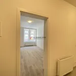 Pronajměte si 2 ložnic/e byt o rozloze 47 m² v Praha