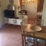 Rent 3 bedroom house of 60 m² in Montalto di Castro