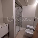 Rent 3 bedroom apartment of 70 m² in Mondovì