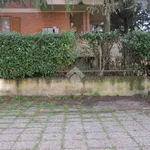 Rent 2 bedroom apartment of 75 m² in Pavia