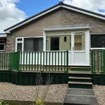 Bungalow to rent in Crofts Avenue, Corbridge NE45