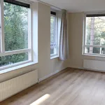 Rent 3 bedroom apartment of 118 m² in Statenkwartier