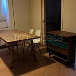 Rent 1 bedroom apartment of 55 m² in Roma