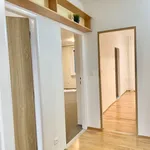 Rent 3 bedroom apartment of 1 m² in Tišnov