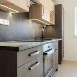 Rent 3 bedroom apartment of 57 m² in Trhový Štěpánov