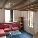 Rent 1 bedroom apartment of 40 m² in Treviso