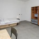 Miete 5 Schlafzimmer wohnung von 19 m² in Berlin