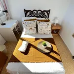 Rent 5 bedroom apartment in Valencia