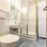 Rent 5 bedroom house of 300 m² in Zagreb