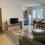 Rent 4 bedroom apartment of 82 m² in Debrecen