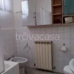 Rent 3 bedroom apartment of 77 m² in Ancona