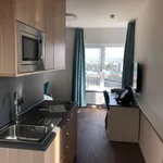 Rent 1 bedroom apartment in berlin