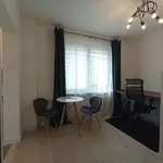 Rent 1 bedroom apartment of 31 m² in Katowice