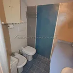 Rent 3 bedroom apartment of 70 m² in Alba