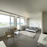 Rent 1 bedroom apartment of 170 m² in Praha