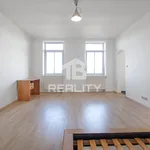 Rent 1 bedroom apartment of 39 m² in České Budějovice