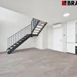 Rent 4 bedroom apartment of 95 m² in Brno