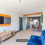 Rent 3 bedroom flat in Brighton