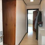 Rent 1 bedroom apartment in Esbjerg