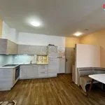 Rent 1 bedroom apartment in Ústí nad Orlicí